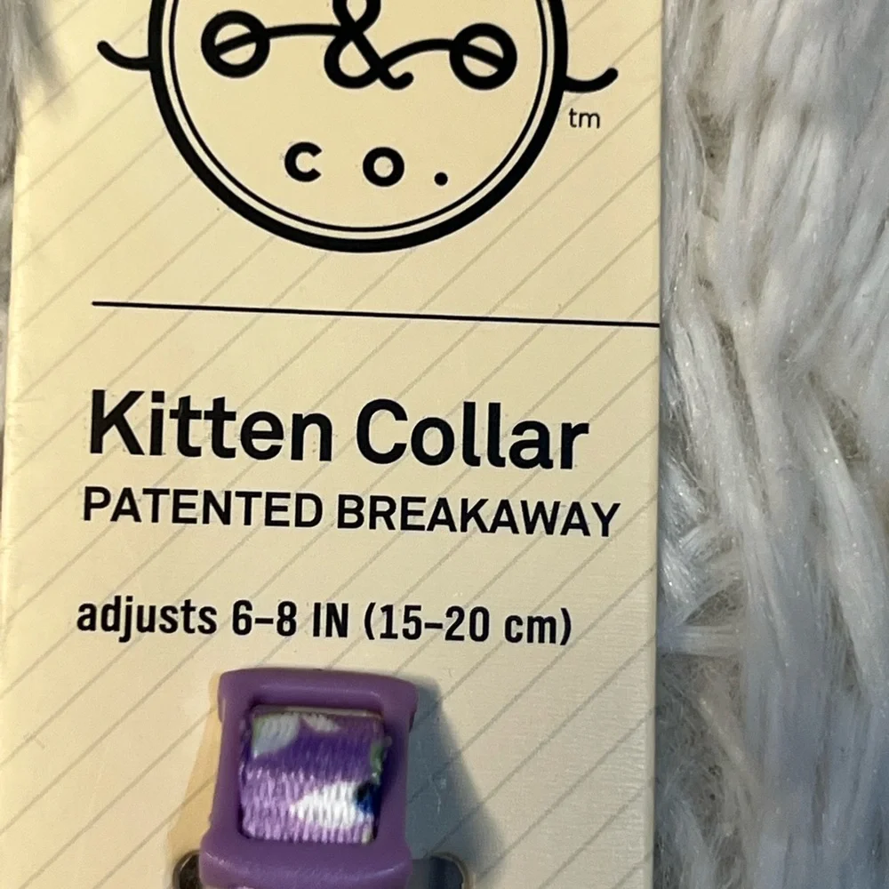 Bond & Co kitten collar
